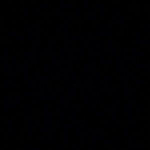 Meet your Posher, Emile